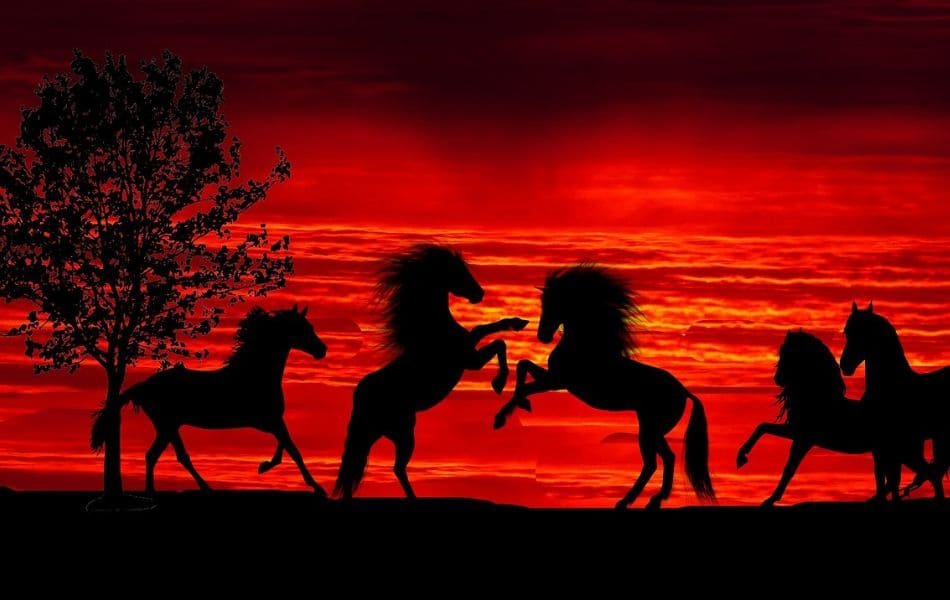 Evolução: Dos Cavalos aos Carros Elétricos