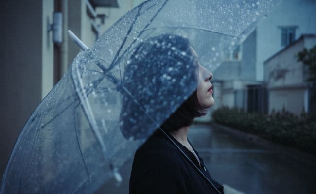 Curiosidades sobre Acessórios para Chuva