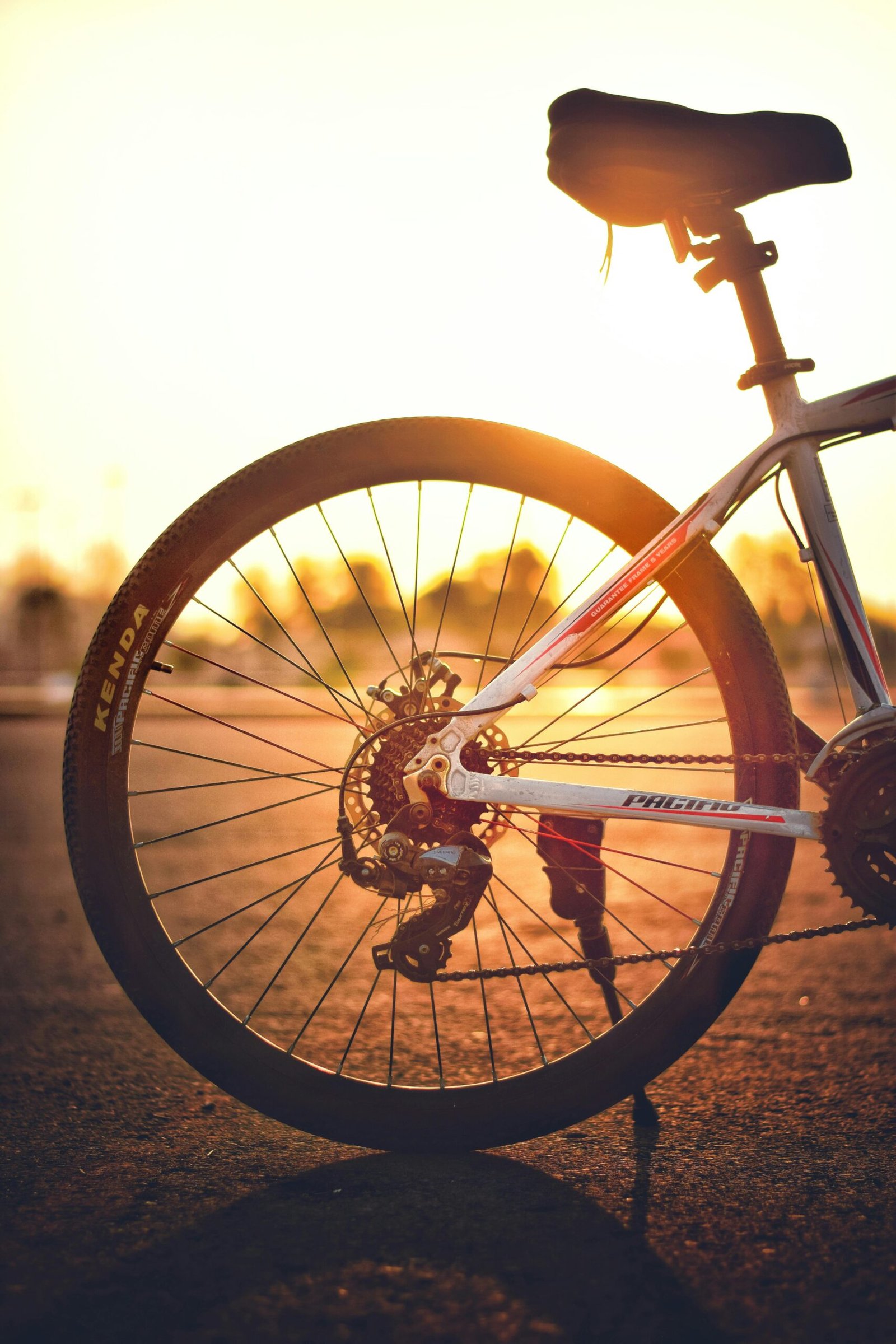 A Bicicleta: Passado, Presente e Futuro