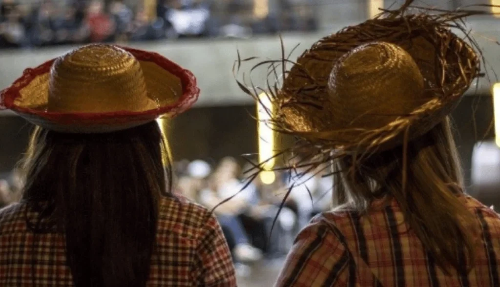 Origem e Significado da Festa de São João