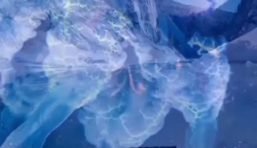 10 Fatos Surpreendentes Sobre o Mundo que Você Não Sabia