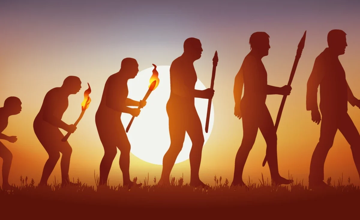 A Evolução Humana