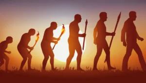 A Evolução Humana
