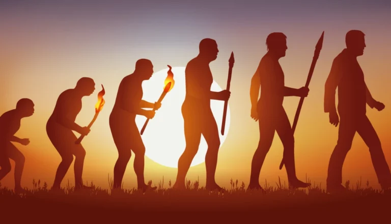 A Evolução Humana: De Onde Viemos e Para Onde Vamos? 5 A Evolução Humana