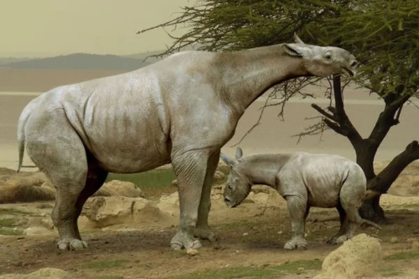 Descubra Animais Extintos e Suas Histórias