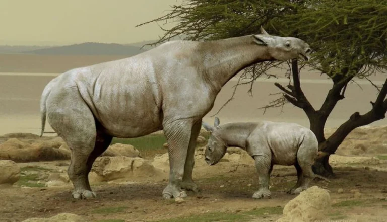 Descubra Animais Extintos e Suas Histórias 1 Descubra Animais Extintos e Suas Histórias