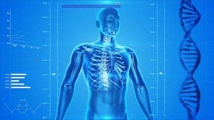 Você sabia que o corpo humano é composto por 60% de água?