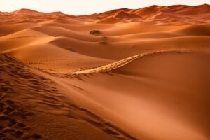 Você sabia que o maior deserto de areia é o Saara?