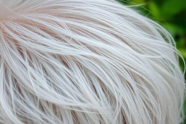 por-que-o-cabelo-fica-branco-nao-e-so-por-idade