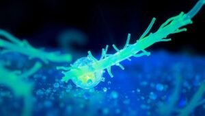 a-bacteria-que-come-plastico-solucao-para-a-poluicao