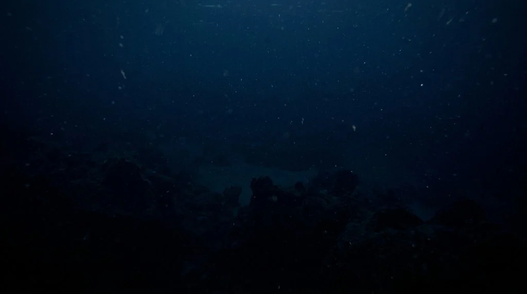 Quanto Do Fundo Do Mar Ja Foi Explorado Agua Profunda